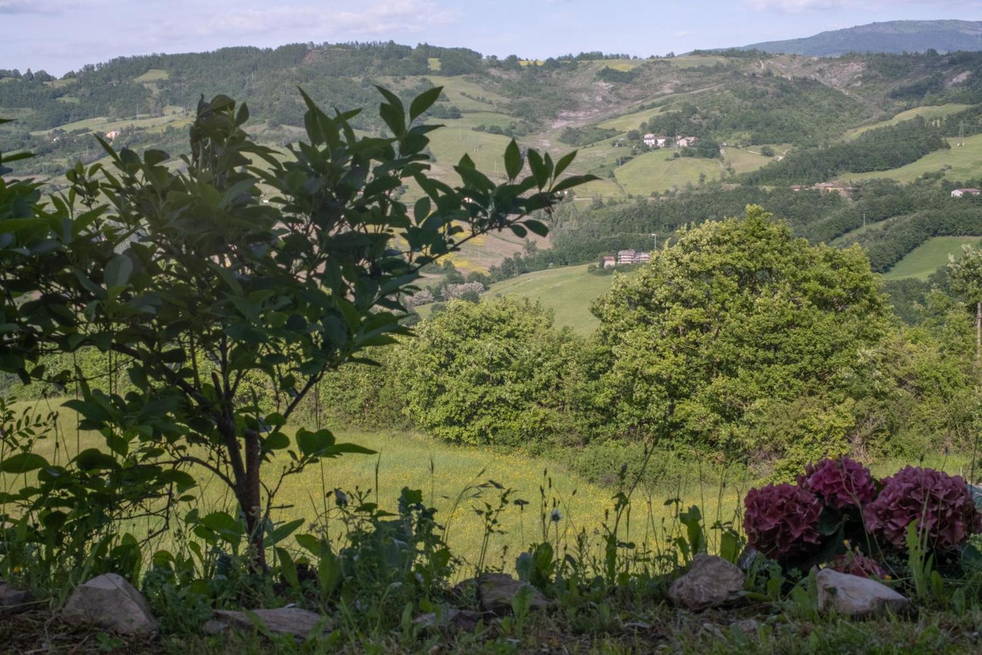 Il Casale-toscoemiliano Farm stay Camugnano