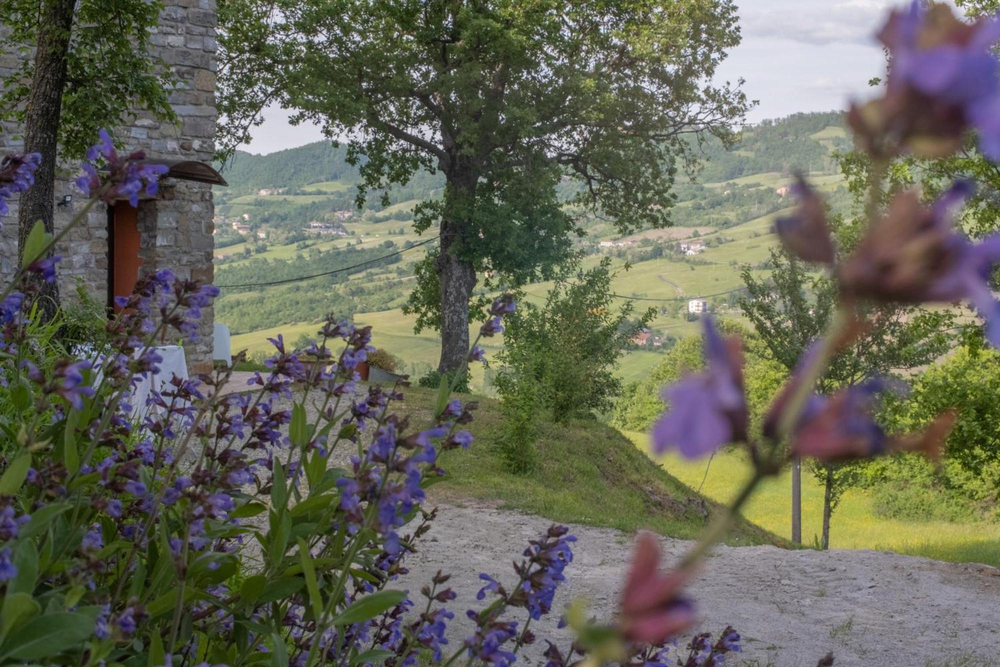 Il Casale-toscoemiliano Farm stay *